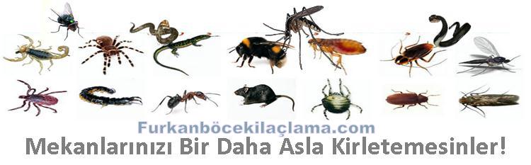 esenyurt dernek ilaçlama